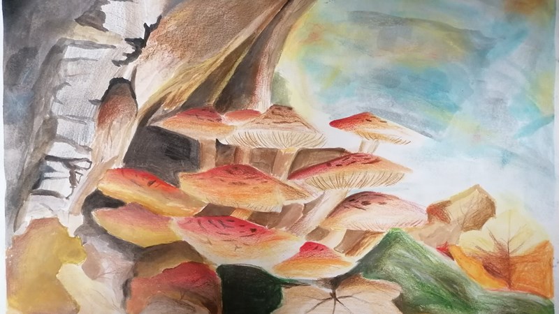 Úspěch mladých výtvarníků ze ZŠ Nový Jičín, Komenského 66