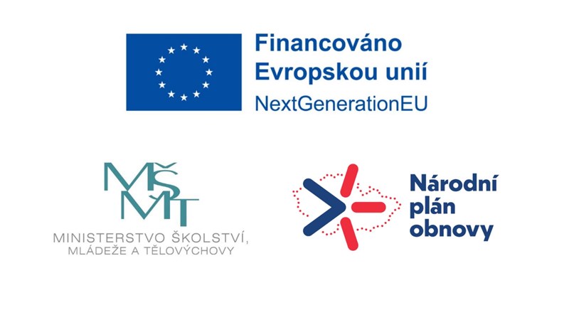 Doučování žáků škol - realizace projektu
