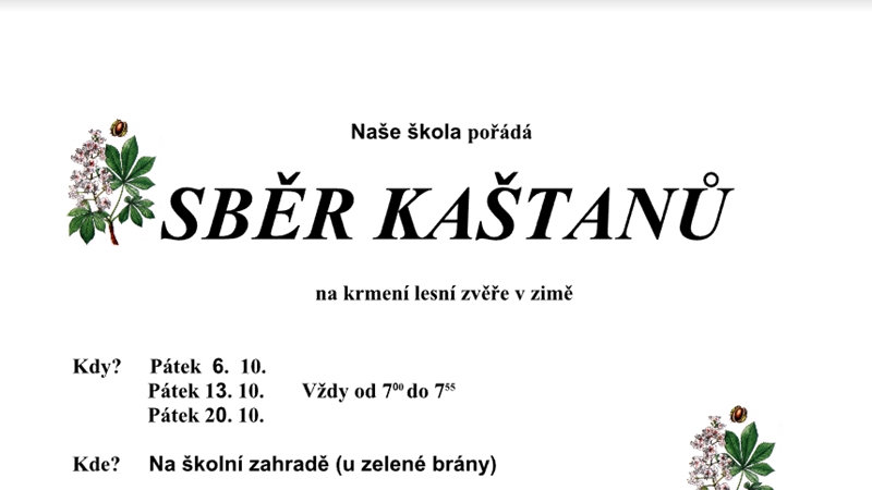Sběr kaštanů