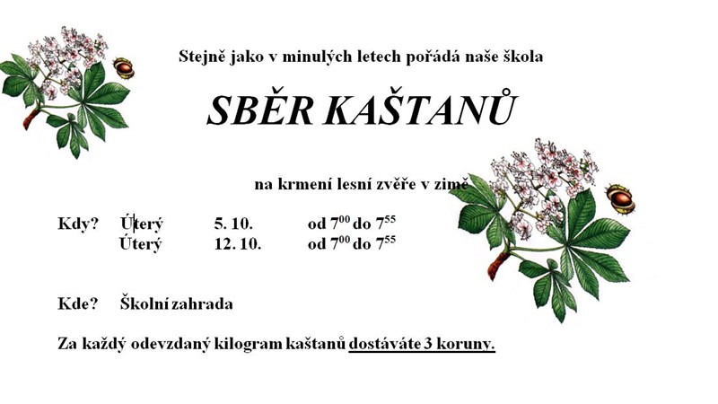 Sběr kaštanů