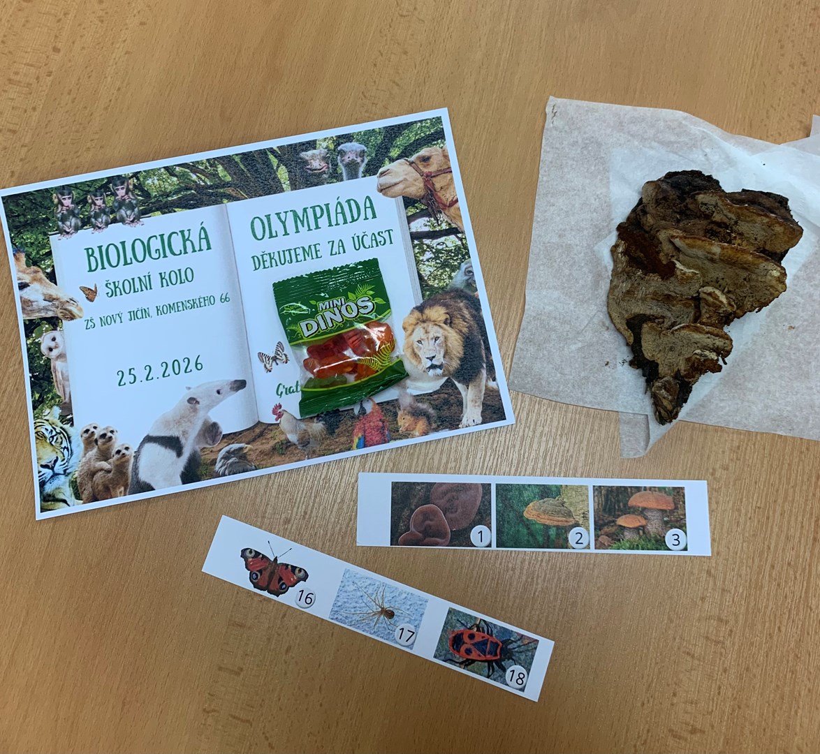 Biologická olympiáda nanečisto