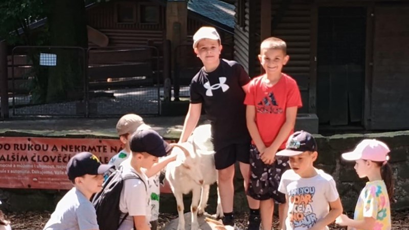 Výlet do ZOO Ostrava
