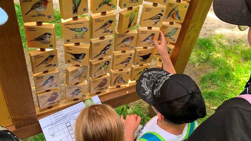 Cesta z města a les plný zážitků pro čtvrťáky ze ZŠ Komenského 66