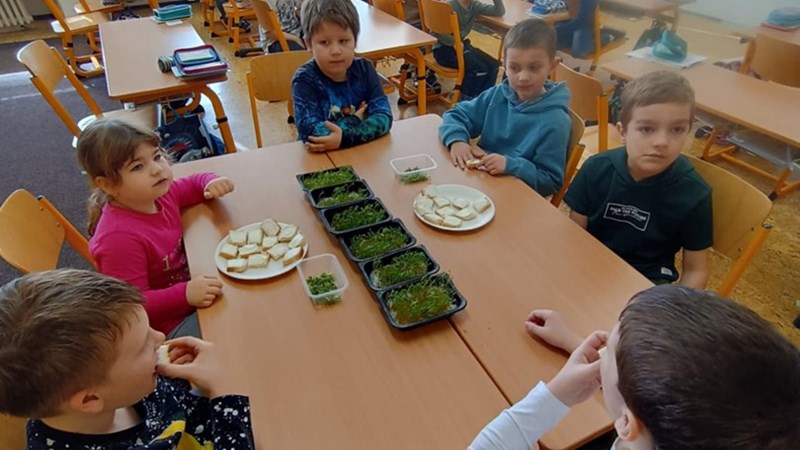 Dobrodružství s písmenkem Ř a řeřichou