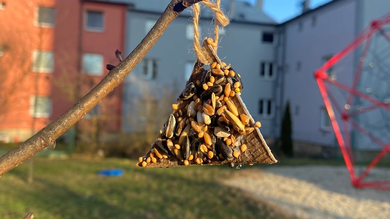 Ptačí svačinka