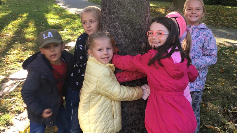 Den stromů ve školní družině
