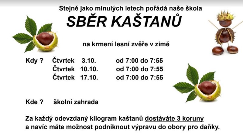 Sběr kaštanů